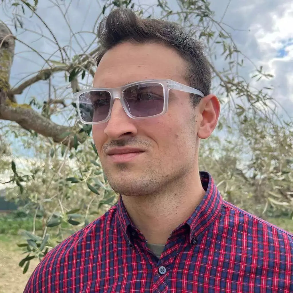 men's cheaters reading sunglasses