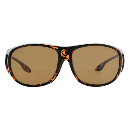 Cgbcs Polarized Bifocal Sunglasses